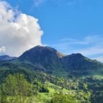 WhatsApp Image 2026-02-17 at 19.10.02 (29)